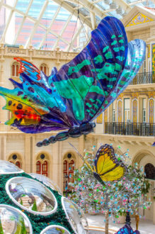 Butterfly Pavilion | Venue Arts