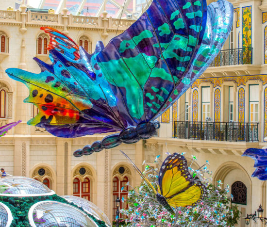 Butterfly Pavilion | Venue Arts