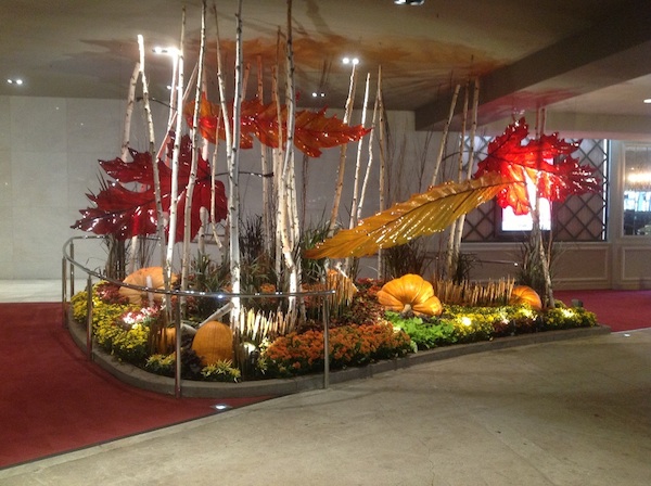 The Grove Fall Display | Venue Arts