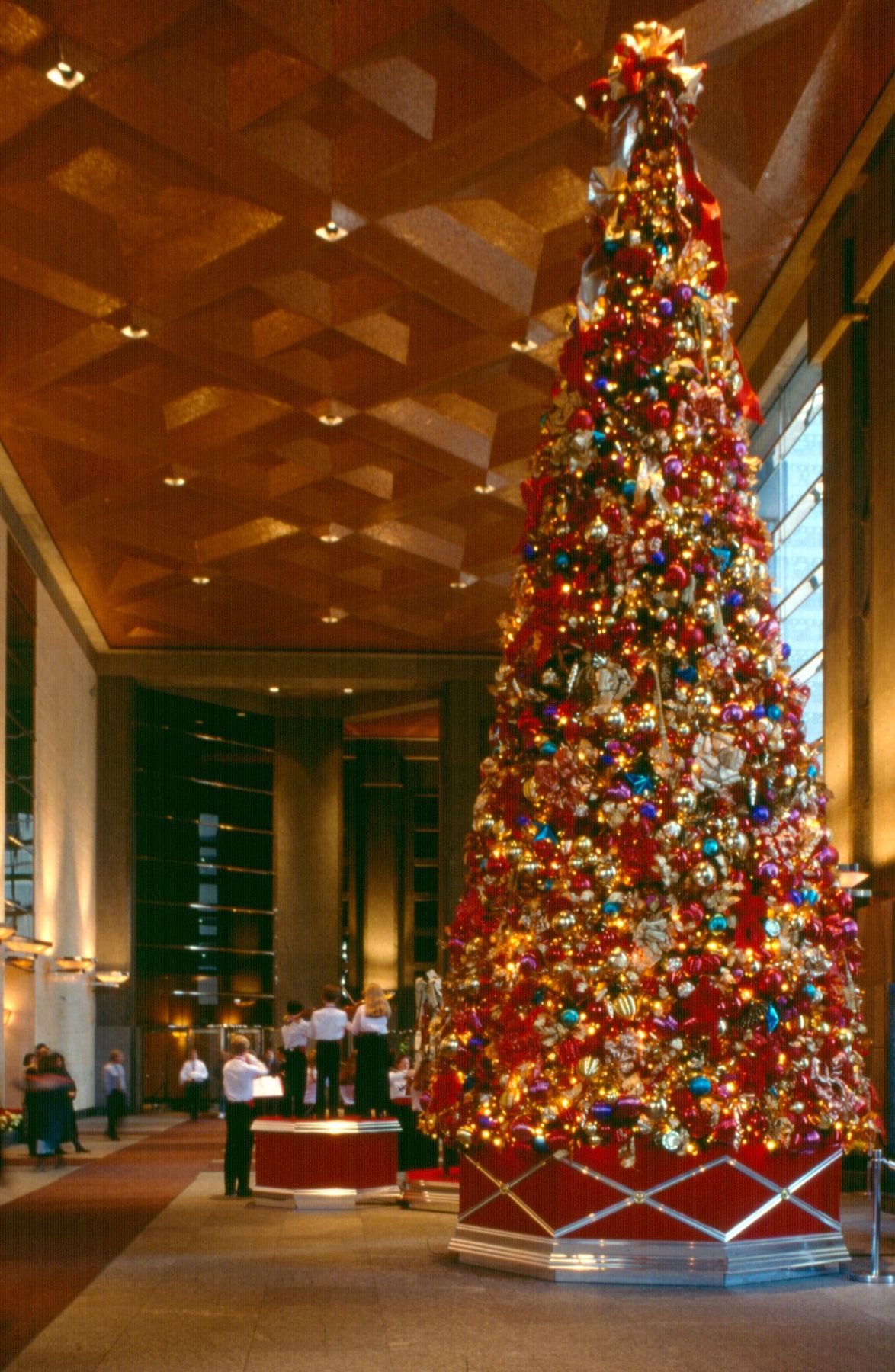 holiday tree showing base