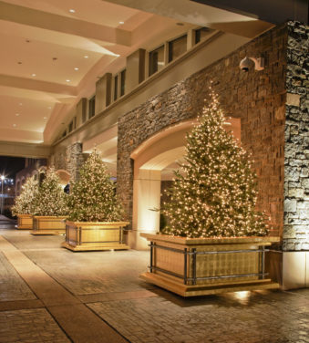 porte cochere Gaylords National Christmas 43